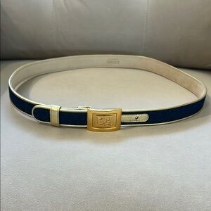 Gold and Blue Belt